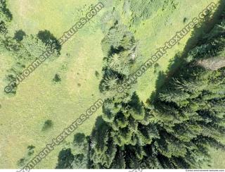forest from above 0004